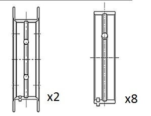 Crankshaft Bearing